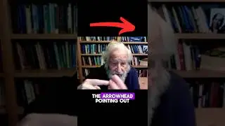 Noam CHOMSKY: Why Does Green Mean Yes and Red Mean No? #noamchomsky #language  #practicalwisdom