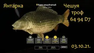 рр4! Янтарное карп Чешуйчатый троф!