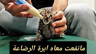 حصلنا الأم وباقي العيال في مكان صعب