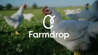 This Is Why Chicken Tastes Better When It's Free Range