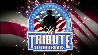 WWE Tribute to the Troops 2015 Pyro