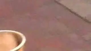 Through the eyes of a Schizophrenic hobo