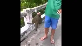 Поймали что то странное мутант