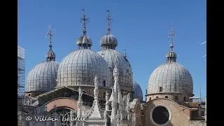 Les coupoles de la Basilique Saint-Marc