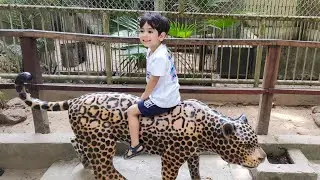 Passeio no Bioparque e Fotos para Formatura