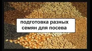 Подготовка разных семян к посеву