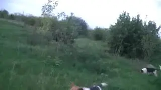 Нагонка