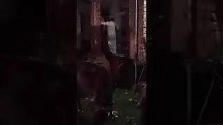 মানুষের পাশাপাশি গরু-ছাগলেরাও আশ্রয়কেন্দ্রে #Coxsbazar #RemalCyclone