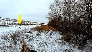 СКОЛЬКО ЗАЙЦЕВ В ЭТОЙ ПОСАДКЕ??? ЗАЙЦЫ ВСТАЮТ ИЗ ПОД НОГ!!! ЛУЧШАЯ ОХОТА НА ЗАЙЦА / MAX HUNTER