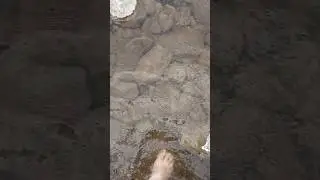 Босиком по воде