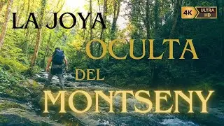 El MONTSENY como JAMÁS lo habías visto | La Jungla Oculta