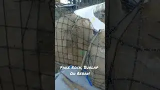 Burlaping On Fake Rock