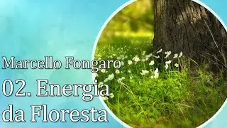 02. Energia da Floresta - Marcello Fongaro | SIMPLICIDADE