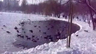 Winterscape