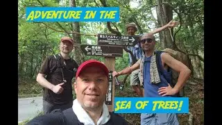 Hike in Japan! The Many Faces of Aokigahara. #japanlife #japantravel #hiking #fuji #japanese #travel