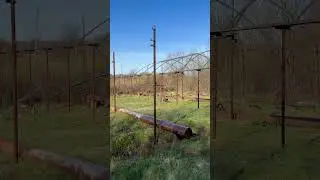 Весеннее утро