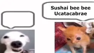 Turi ip ip ip vs Emmatseemrazy