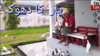 يار  کا دھوکہ🇧🇳🇵🇰amirawanfamily