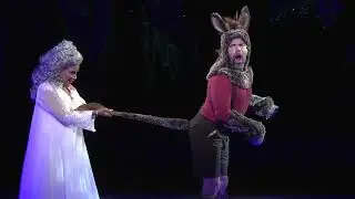 Magical Highlights from A MIDSUMMER NIGHT'S DREAM at Shakespeare in the Park