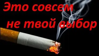 КУРЕНИЕ - максимально глупо.
