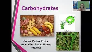 Macromolecules - Structure and Function