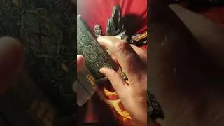 Что может произойти в последние 10 дней августа? 