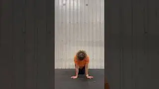 Kneeling wrist 180 degree rotations