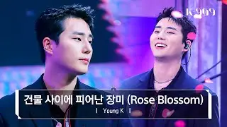[4K/Exclusive] Young K (DAY6) - Rose Blossom (Original song by H1-KEY) l @JTBC K-909 230513