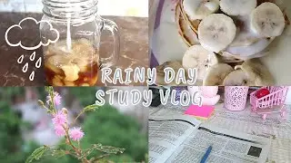 RAINY DAY STUDY VLOG 🌧️📚 STUDY VLOG 8