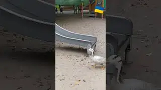 Мем 