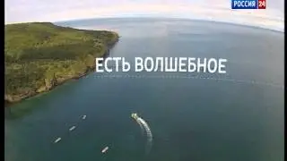 Анонс