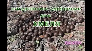 НАТУРАЛЬНОЕ УДОБРЕНИЕ ДЛЯ ХМЕЛЯ