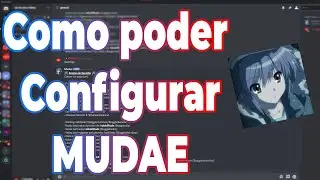 Tutoriales Bots - Mudae | Discord | Tutoriales Elraccion