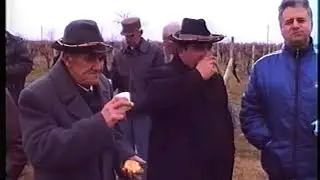КОИЛОВЦИ -Трифон Зарезан-2000 година