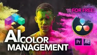 Löst das alle Probleme? Freelab von Colourlab AI - Color Management von Zauberhand