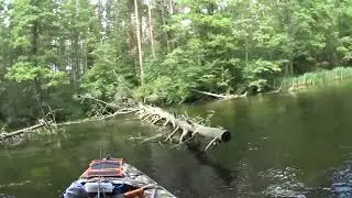 Сплав 2021 4 день
