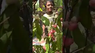 Vlogger Effect - Chambakka reel