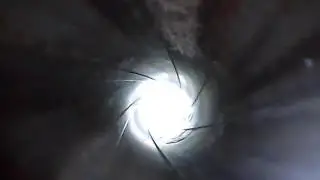 endoscope2