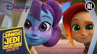 Jonge Jedi Avonturen 😺 | Lys' Stuntende Wezen | Disney Channel NL