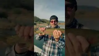 It might be hot out there, but the water is cold and the trout are eating! #lowersac #flyfishing