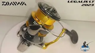 DAIWA LEGALIS LT 2023