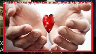 сизлар учун яна бир гузал тарона!