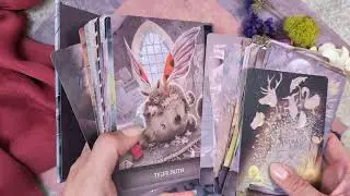 Land of Giants Oracle Deck - Quick Unboxing