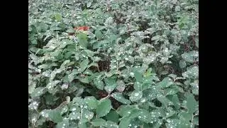 Осень прекрасна !!! 🍁🍃🍂