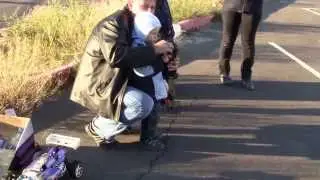 rc cars николаев