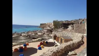 Поездка на пляж и прогулка по пляжу FARAANA REEF RESORT 4* Египет, Шарм-эль-Шейх 1-8 марта 2020