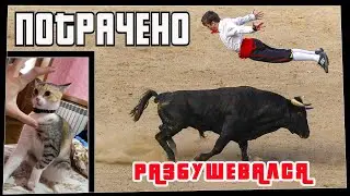 Потрачено. Разбушевался. Лучшие приколы, смешные видео и фейлы