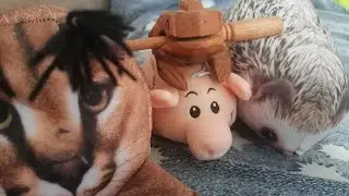 блобтоп топ
