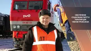 Что такое "Дорпрофжел"