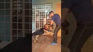 Leka em trabalho de mordida